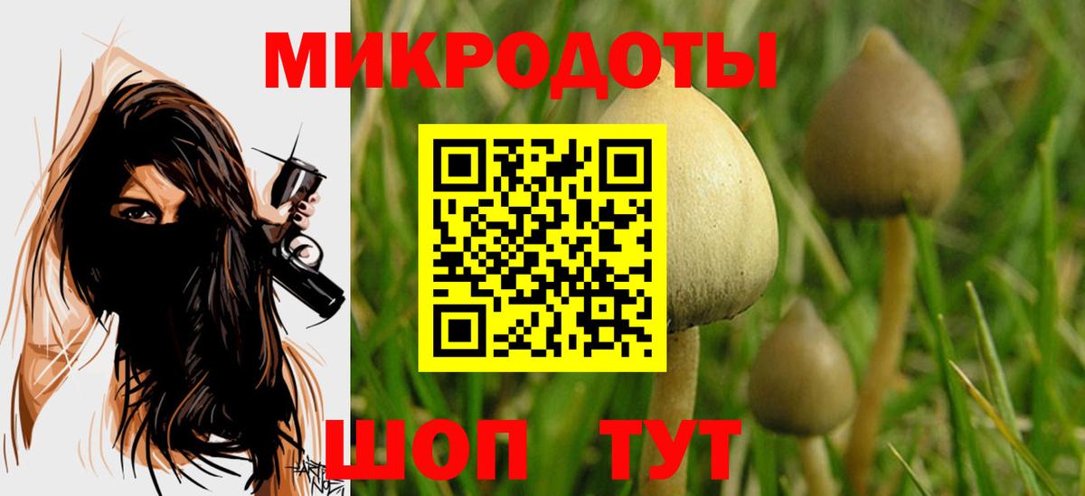 Галлюциногенные грибы Cubensis  Вход с VPN  Рославль  Псилоцибиновые грибы Cubensis 